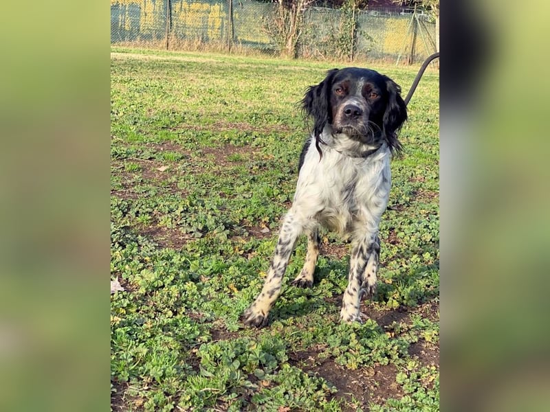 Eros- Wenn ein Wegwerfartikel ein Herz hat
