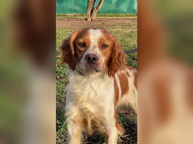 Fish - Es gibt eine freundliche Welt.....