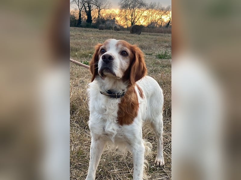 Giotto - wer sagt eigentlich, dass Abenteuer ein Alter haben?