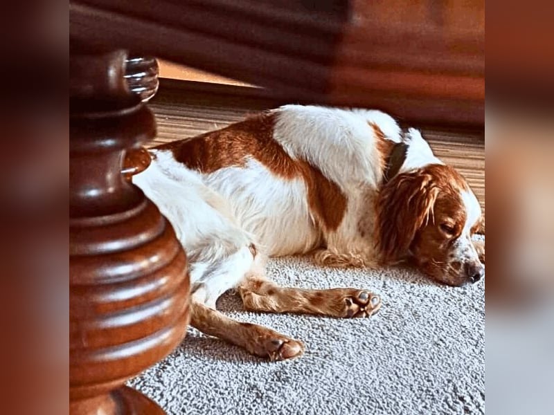 Fish - Es gibt eine freundliche Welt.....