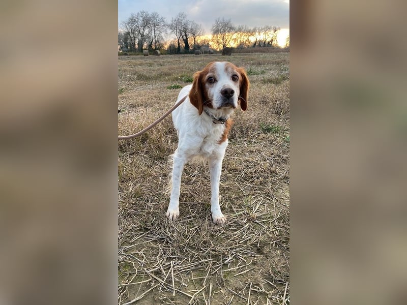 Giotto - wer sagt eigentlich, dass Abenteuer ein Alter haben?