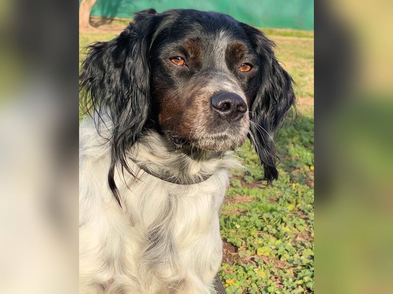 Eros- Nähe, Vertrauen und einfach dazugehören