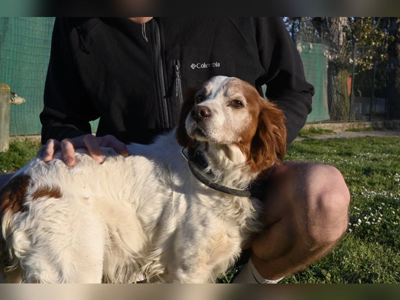 Giotto - wer sagt eigentlich, dass Abenteuer ein Alter haben?