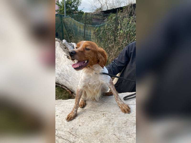 Steve - Freundlichkeit muss sich doch auszahlen