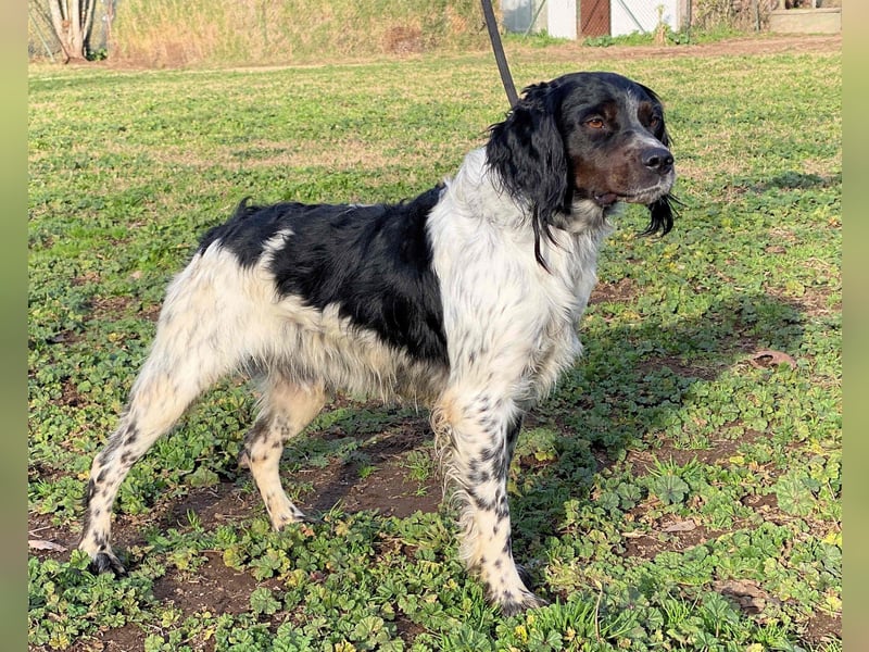Eros - wenn Vertrauen langsam zurückkehrt