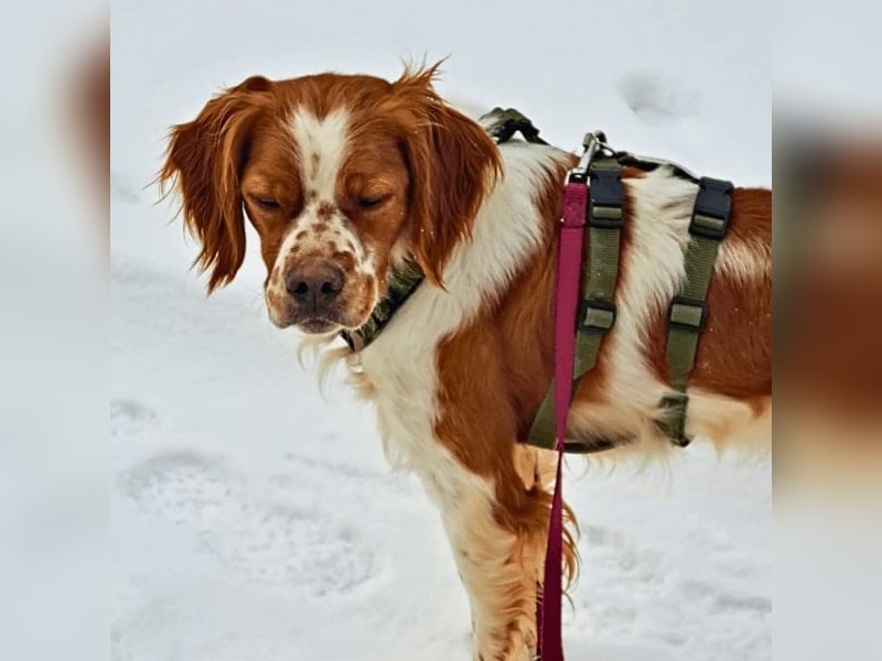 Fish - Es gibt eine freundliche Welt.....