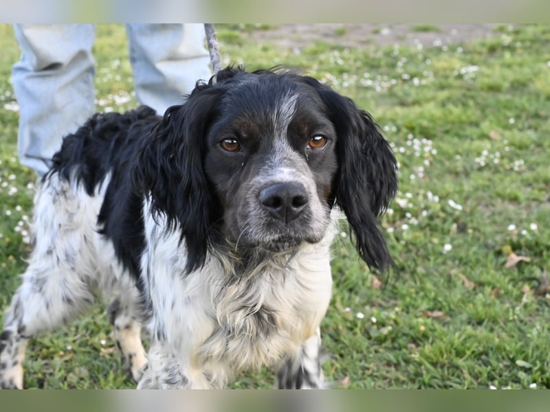 Eros- Nähe, Vertrauen und einfach dazugehören