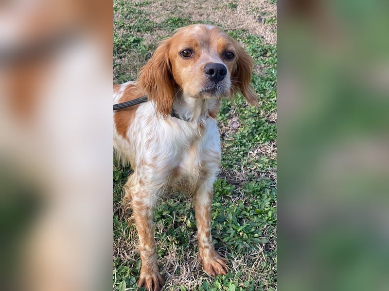 Uliana - Der Sinn des Lebens....