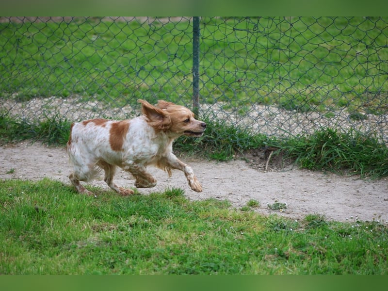Uliana - Der Sinn des Lebens....