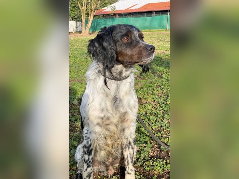 Eros- Wenn ein Wegwerfartikel ein Herz hat