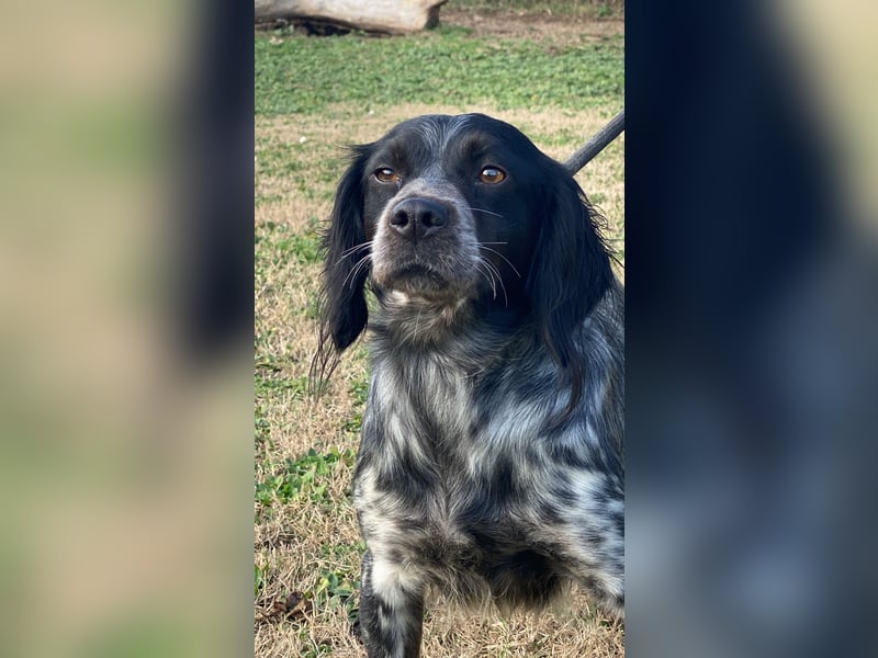 Samira - Gerettet, angekommen, bereit für ein neues Leben