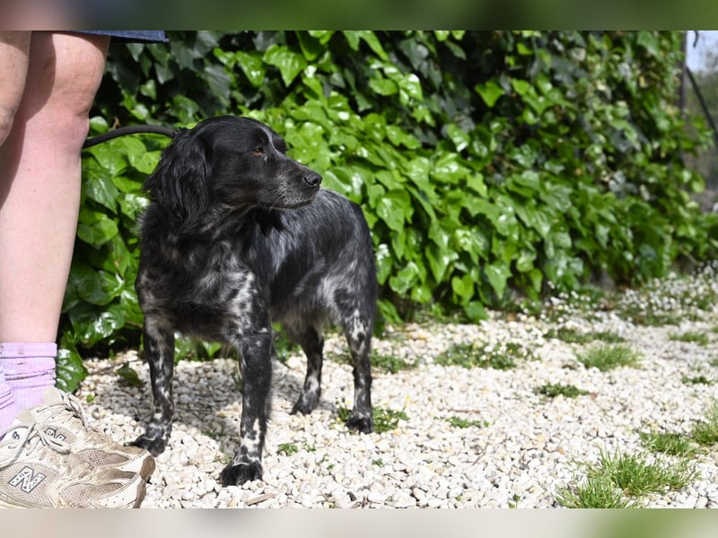 Samira - Gerettet, angekommen, bereit für ein neues Leben