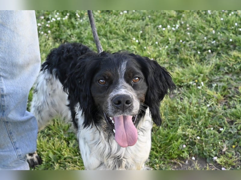 Eros- Nähe, Vertrauen und einfach dazugehören