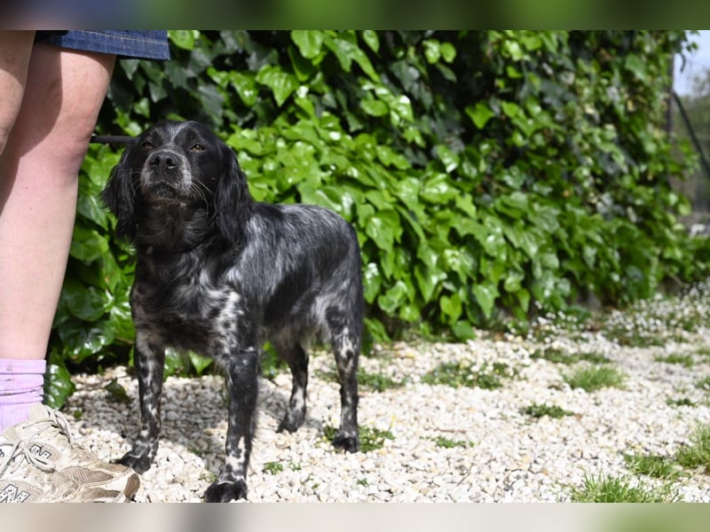 Samira - Gerettet, angekommen, bereit für ein neues Leben