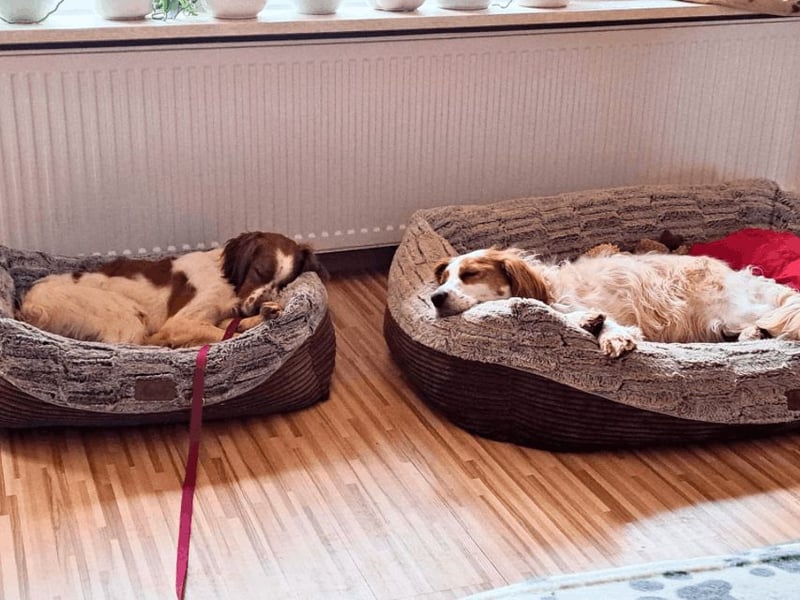 Fish - Es gibt eine freundliche Welt.....