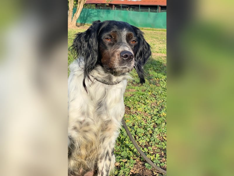 Eros- Wenn ein Wegwerfartikel ein Herz hat