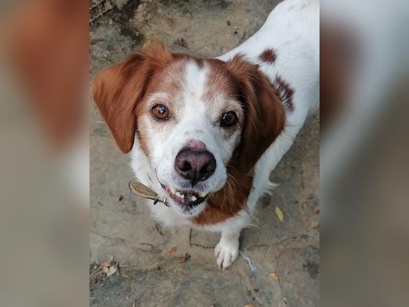 Giotto - wer sagt eigentlich, dass Abenteuer ein Alter haben?