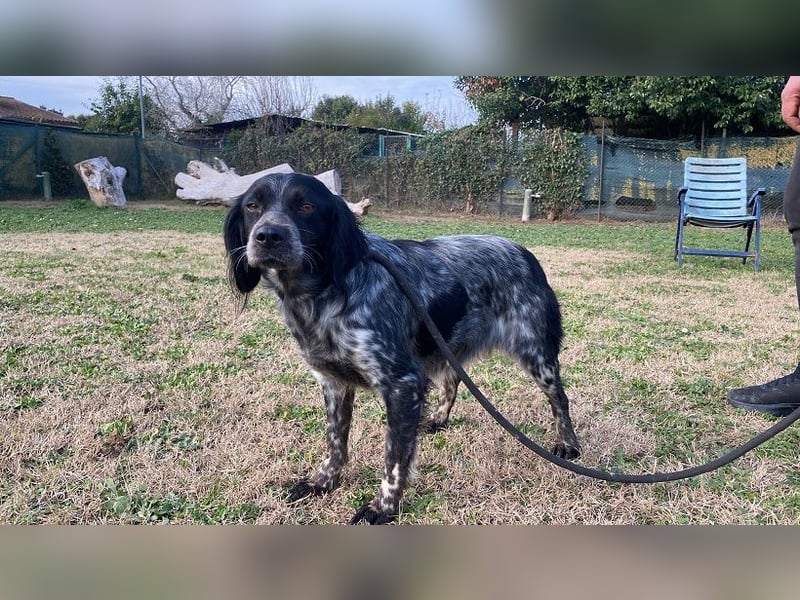 Samira - Gerettet, angekommen, bereit für ein neues Leben