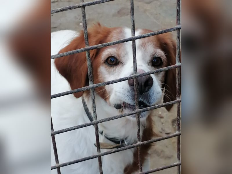 Giotto - wer sagt eigentlich, dass Abenteuer ein Alter haben?