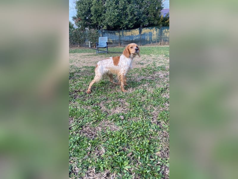 Uliana - Der Sinn des Lebens....