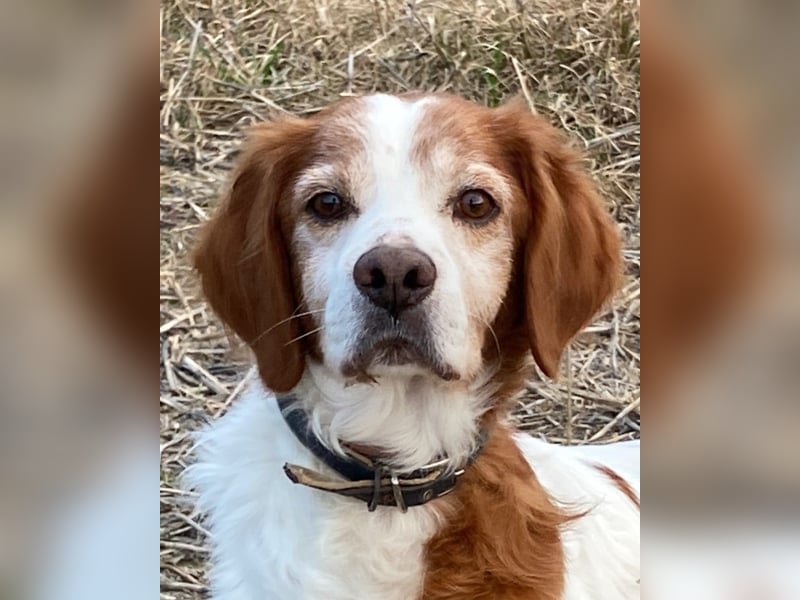 Giotto - wer sagt eigentlich, dass Abenteuer ein Alter haben?