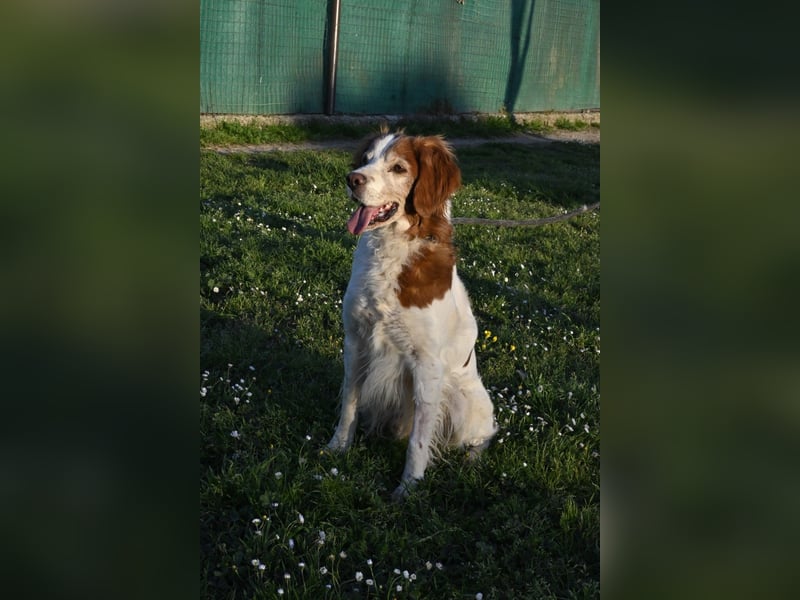 Giotto - wer sagt eigentlich, dass Abenteuer ein Alter haben?