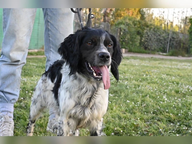 Eros- Nähe, Vertrauen und einfach dazugehören