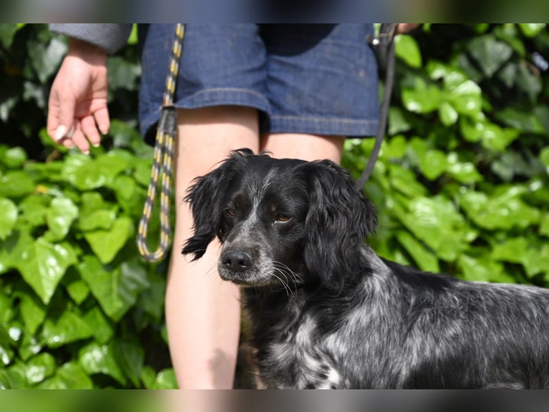 Samira - Gerettet, angekommen, bereit für ein neues Leben