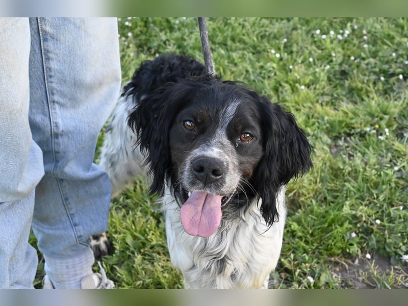 Eros- Nähe, Vertrauen und einfach dazugehören