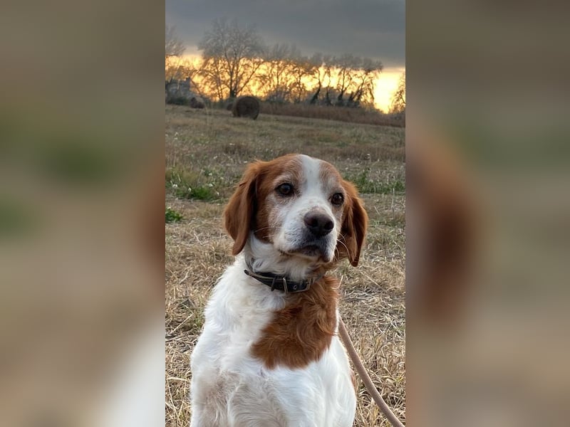 Giotto - Passt zu so viel mehr als nur zum Kaffee!