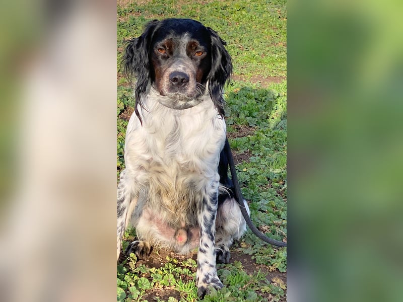 Eros - wenn Vertrauen langsam zurückkehrt