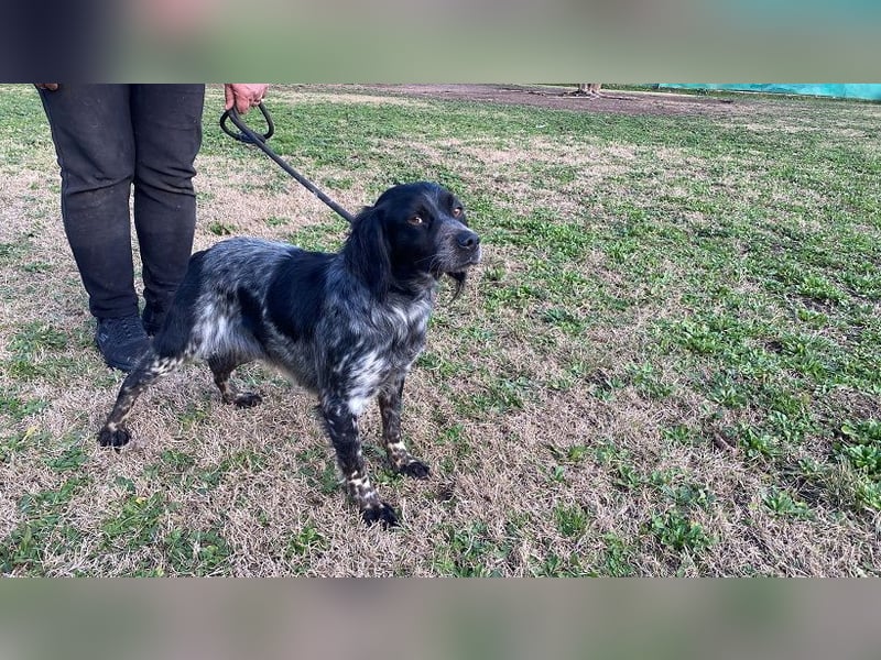 Samira - Gerettet, angekommen, bereit für ein neues Leben