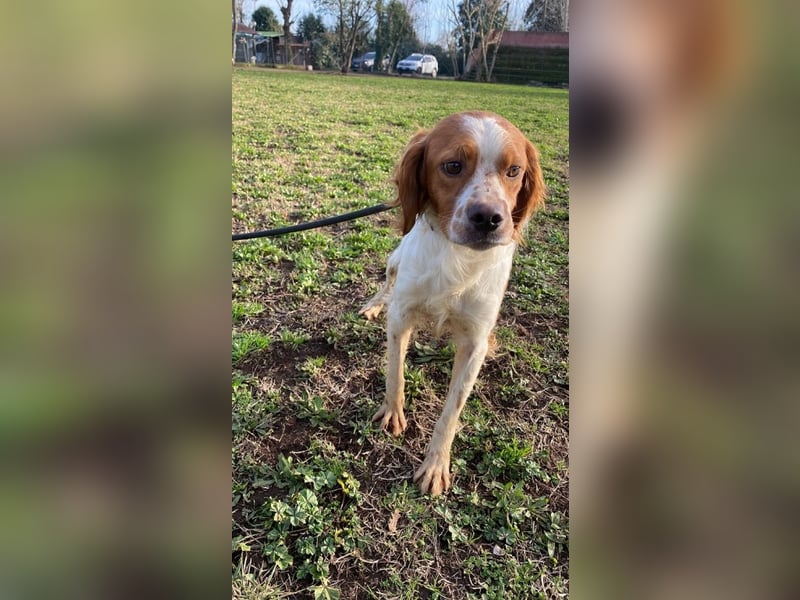 Fish - Es gibt eine freundliche Welt