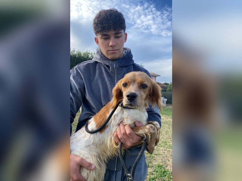 Uliana - Der Sinn des Lebens....