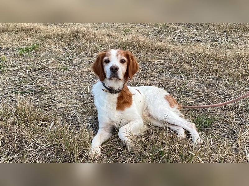Giotto - Passt zu so viel mehr als nur zum Kaffee!
