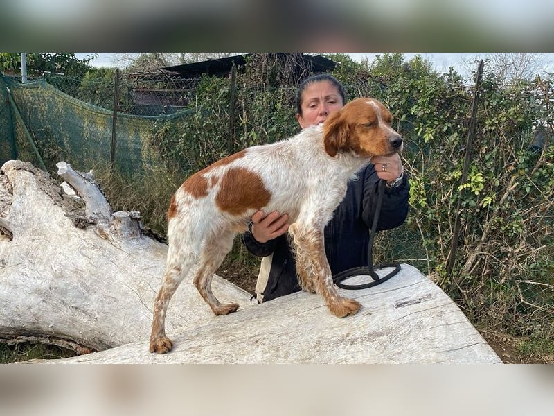 Steve - Freundlichkeit muss sich doch auszahlen