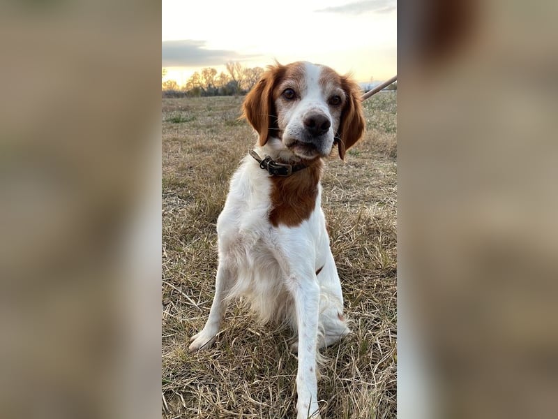 Giotto - Passt zu so viel mehr als nur zum Kaffee!