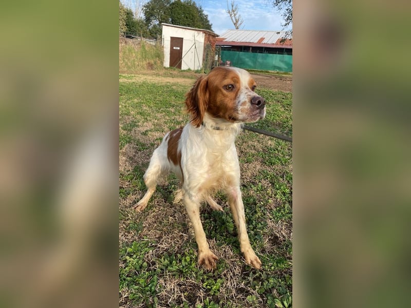 Fish - Es gibt eine freundliche Welt