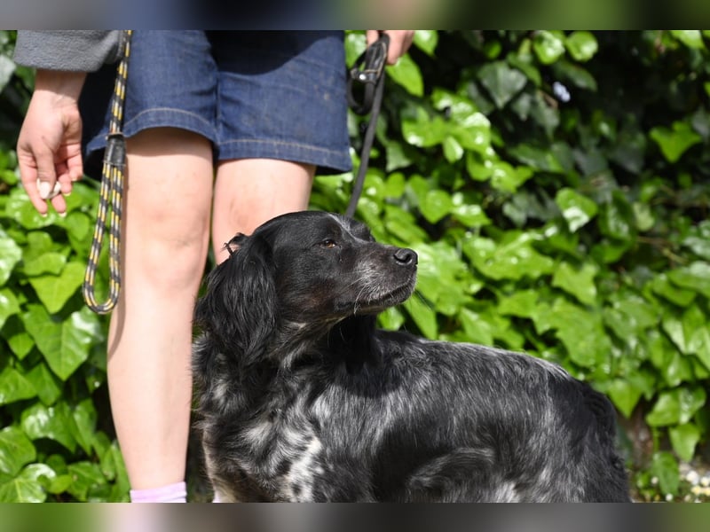 Samira - Gerettet, angekommen, bereit für ein neues Leben