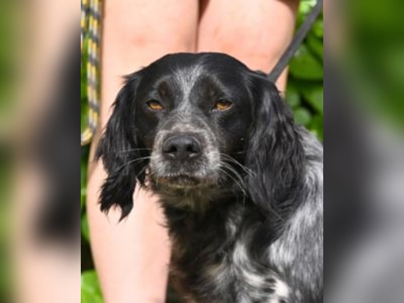 Samira - Gerettet, angekommen, bereit für ein neues Leben