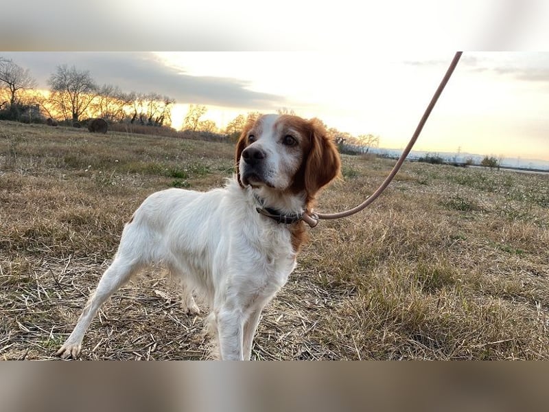 Giotto - Passt zu so viel mehr als nur zum Kaffee!