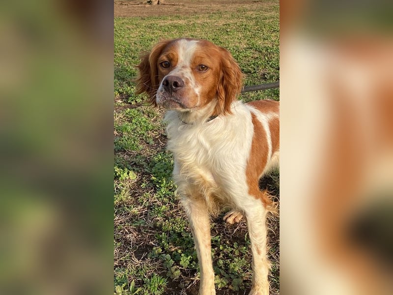 Fish - Es gibt eine freundliche Welt.....