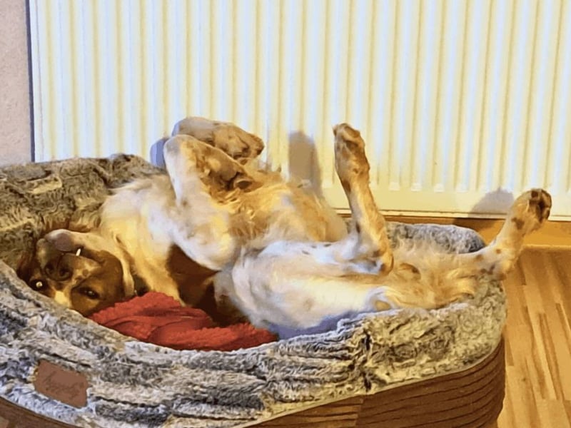 Fish - Es gibt eine freundliche Welt.....