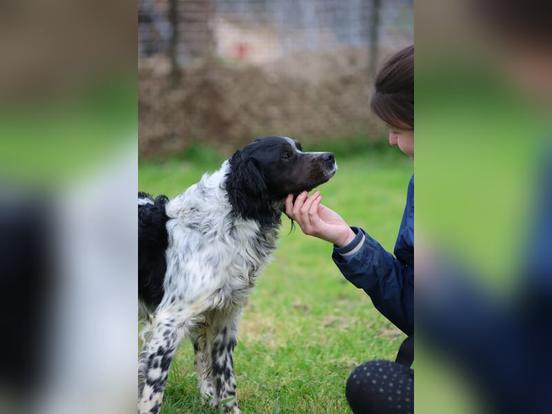 Eros - wenn Vertrauen langsam zurückkehrt