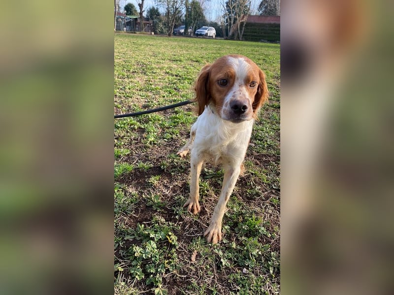 Fish - Es gibt eine freundliche Welt.....