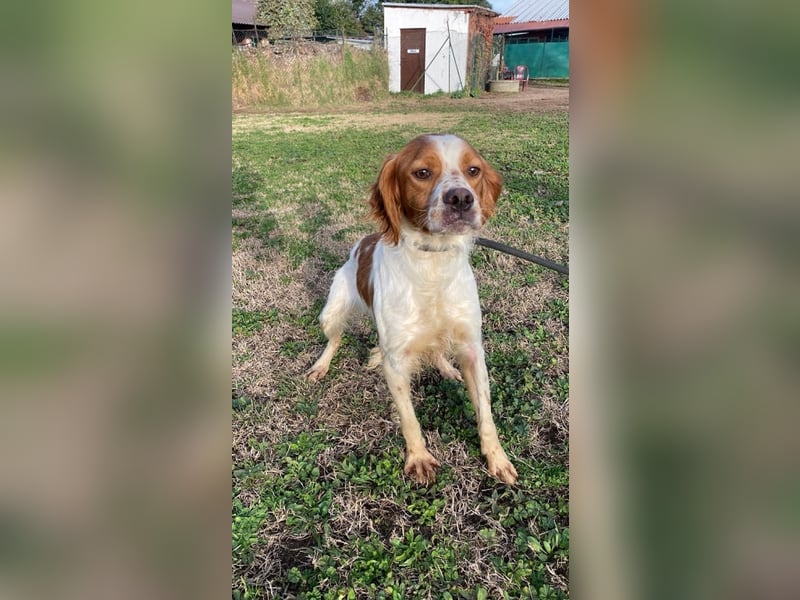 Fish - Es gibt eine freundliche Welt