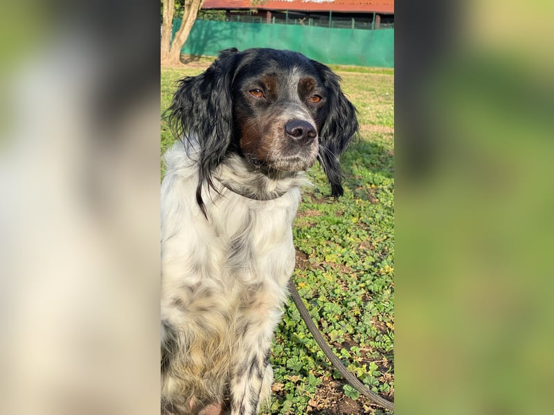 Eros - wenn Vertrauen langsam zurückkehrt