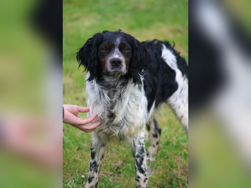 Eros - wenn Vertrauen langsam zurückkehrt