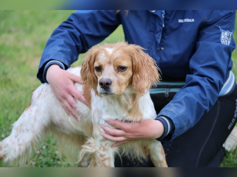 Uliana - Der Sinn des Lebens....