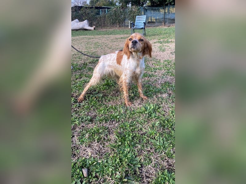 Uliana - Der Sinn des Lebens....